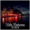 Nightlife Music Zone - Vida Nocturna de Ibiza - Música de Fiesta Electrónica, Chillout de Verano, Diviértete Toda la Noche